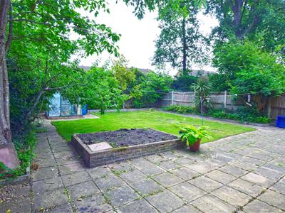 Picture 20